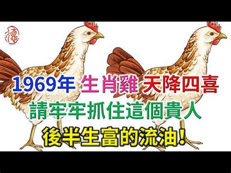 1969 雞 五行|【1969年生肖五行】1969年生肖五行屬什麼？51歲屬雞人命中註。